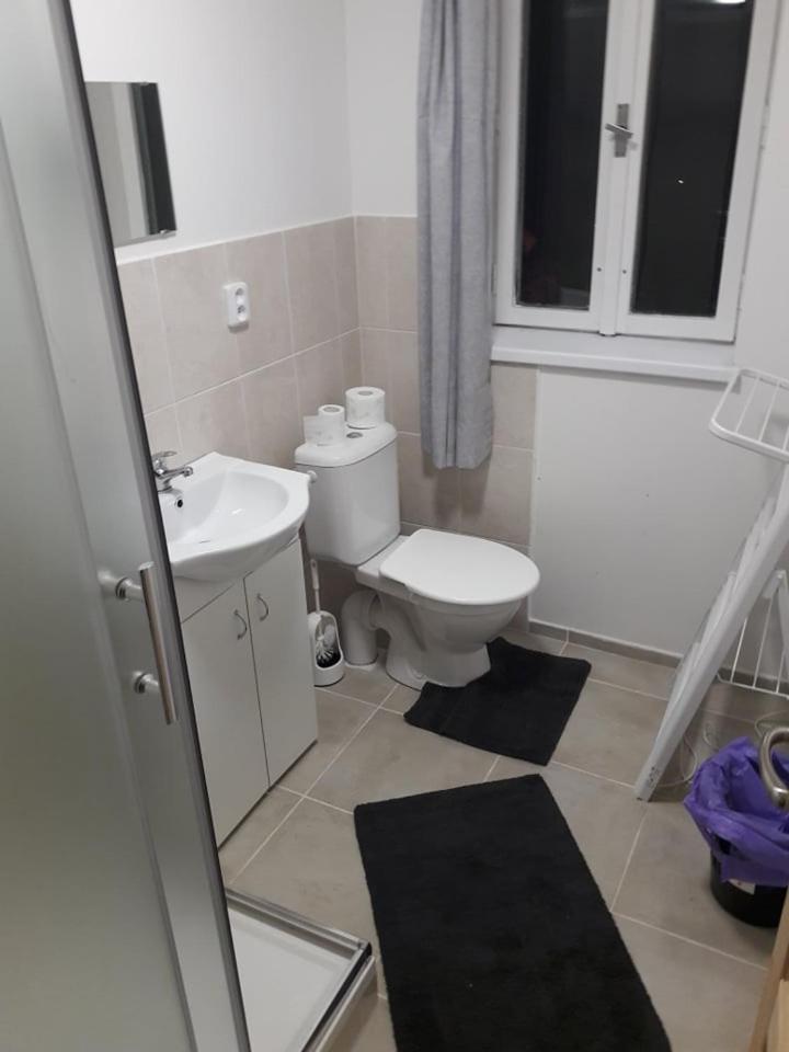 Apartman Pod Marianskou Horou Desná Buitenkant foto